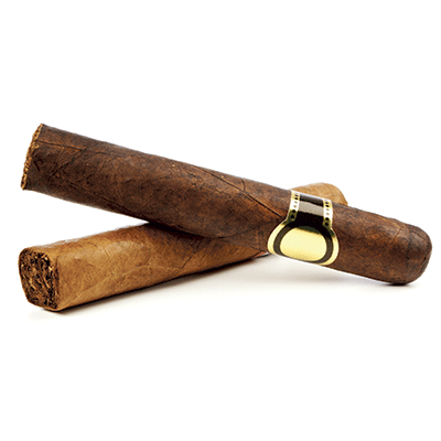 Cigar Passion