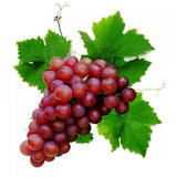 Grape